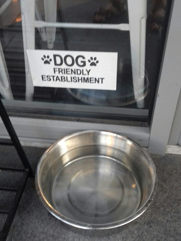 Собаки в Лондноне